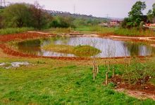Pond complete 1992